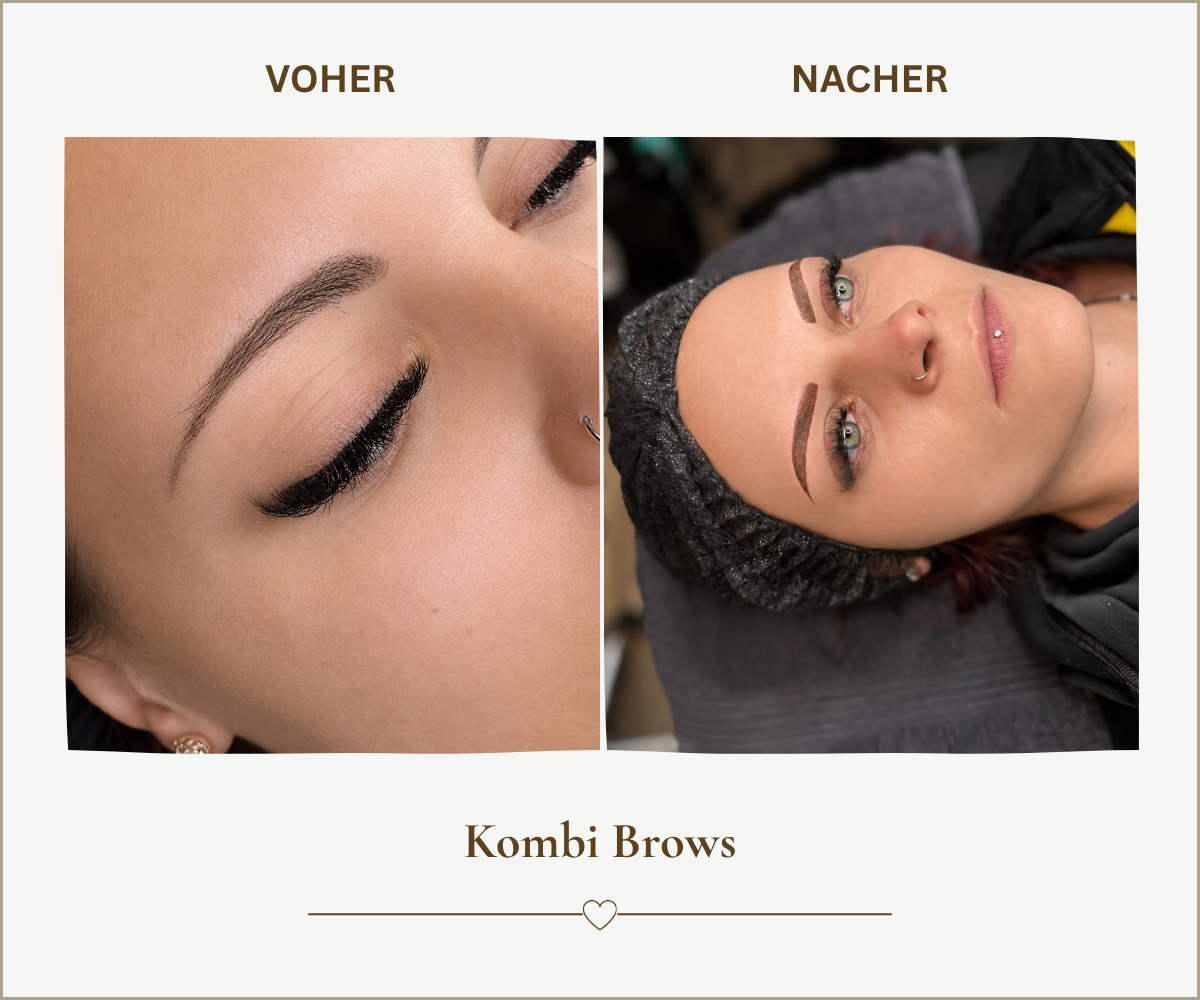 Meine Arbeiten PMU Kombi Brows